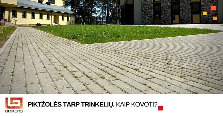 Trinkelių tarpuose išaugusi žolė iš pradžių gali pasirodyti smulkmena, tačiau šios problemos nesprendžiant, ilgainiui…