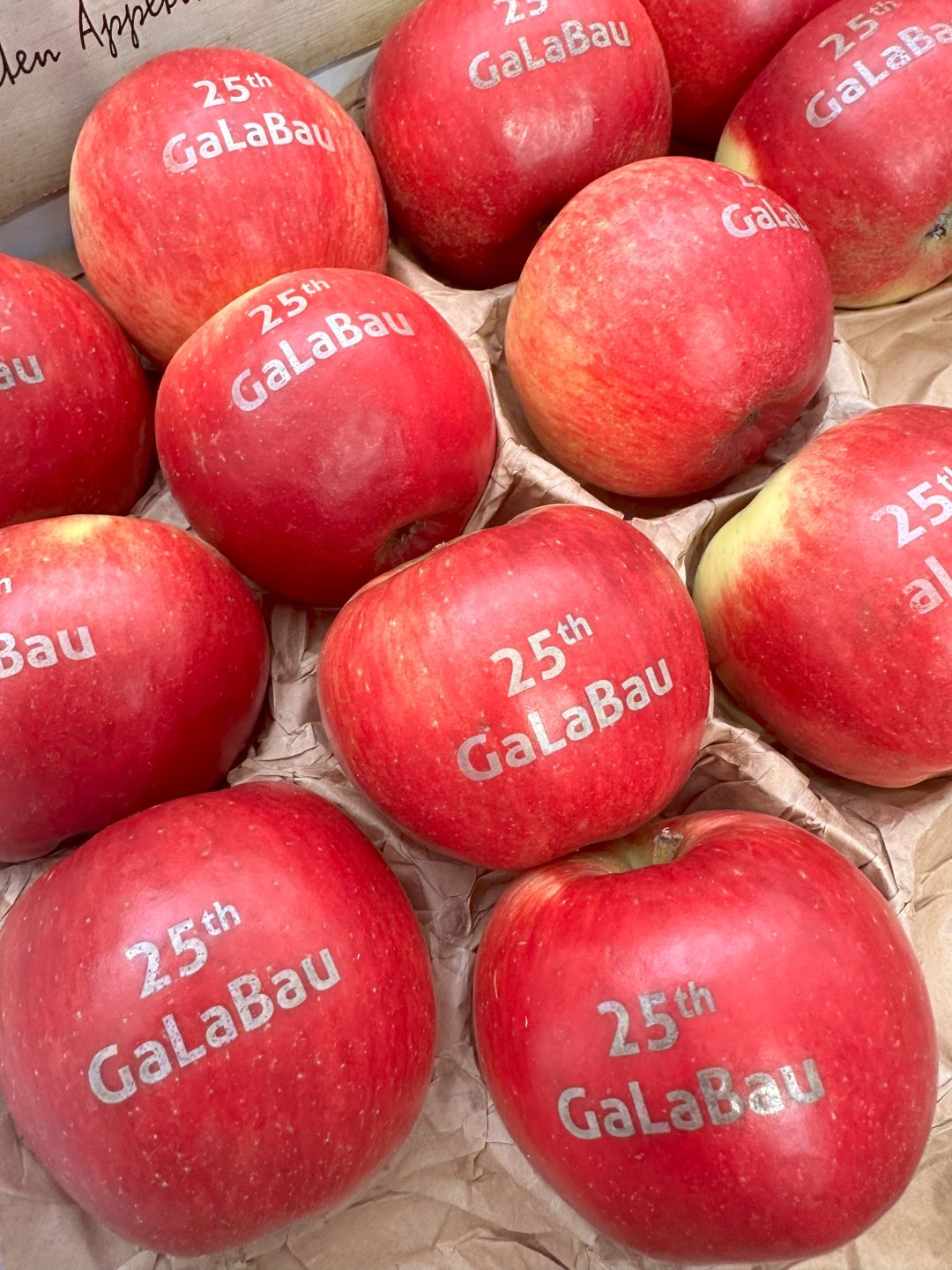 Brikers_Trinkeliu_gamintojas