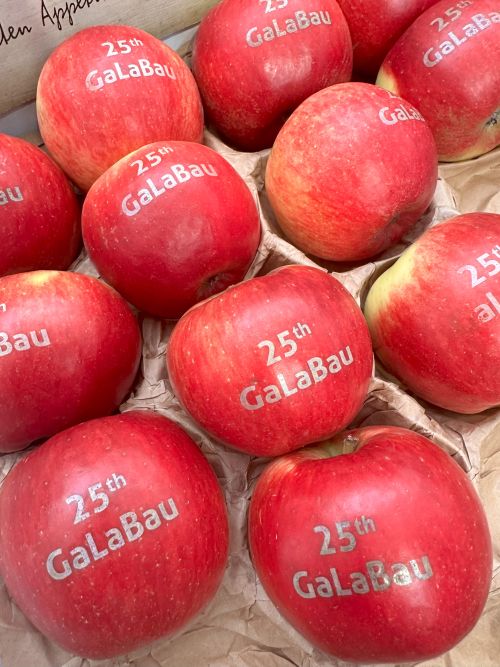 Brikers_Trinkeliu_gamintojas